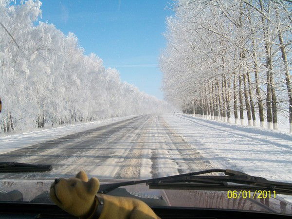 Николай Алексеевич