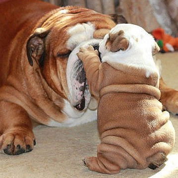 Іванна Якубик