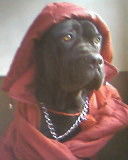 Виталий Милованов