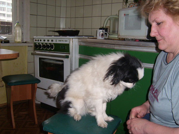 Борисова Елена