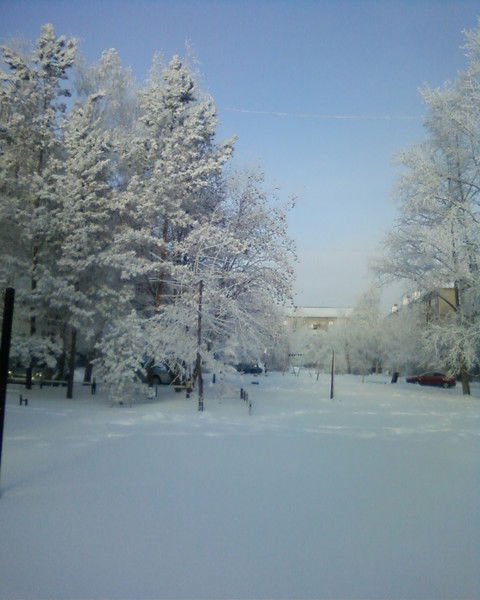 Лидия Редькина