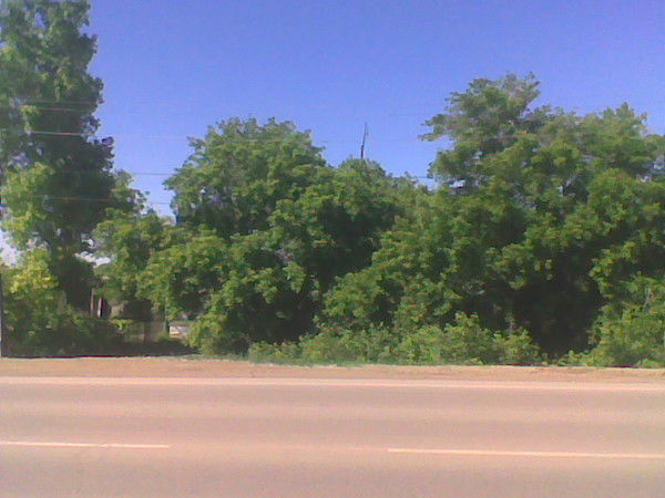 Ольга Нестеренко