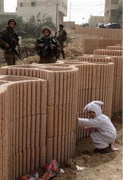 Кирилл Верещагин