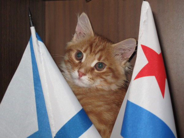 Владимир Плохих