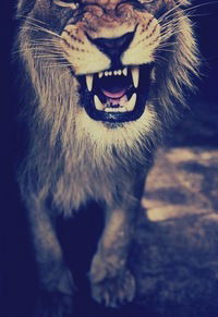 Валентин Браницкий