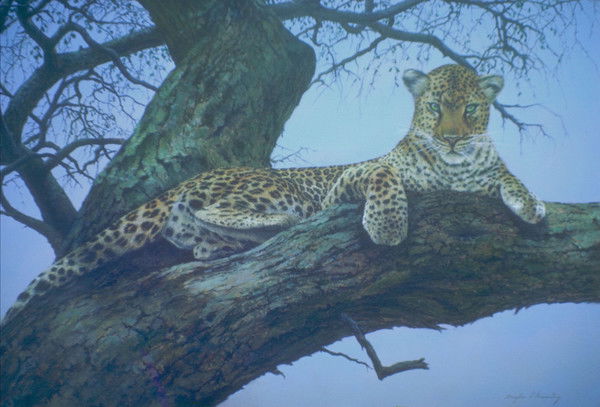 Антон Калько