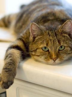 Юлия Морозова