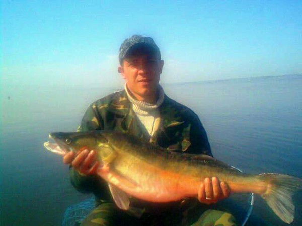 Василий Недвигин