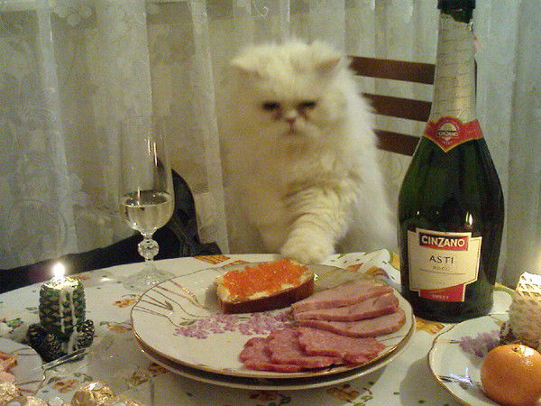 Цыган Портовый