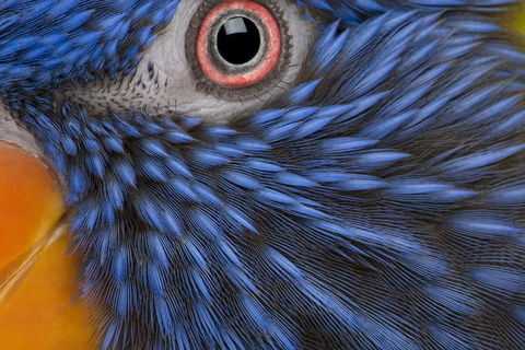 Денис Яшкин