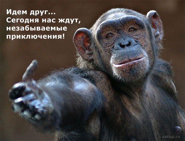 Джейхун Мамедов