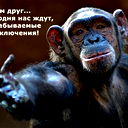 Джейхун Мамедов