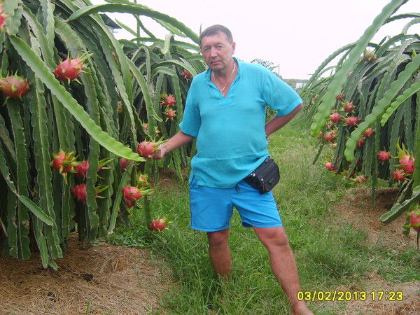 Александр Терсков