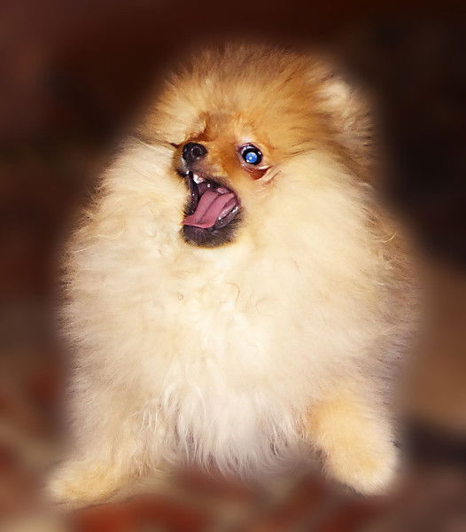 Ольга Кустова