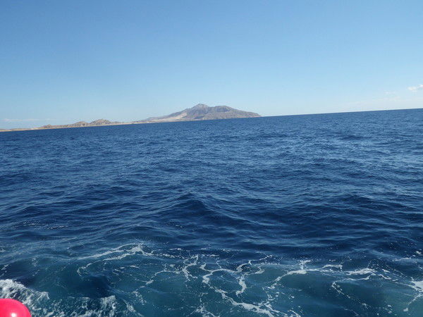 Амалия Татьяновна