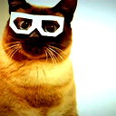 |...alex@ndr ...|