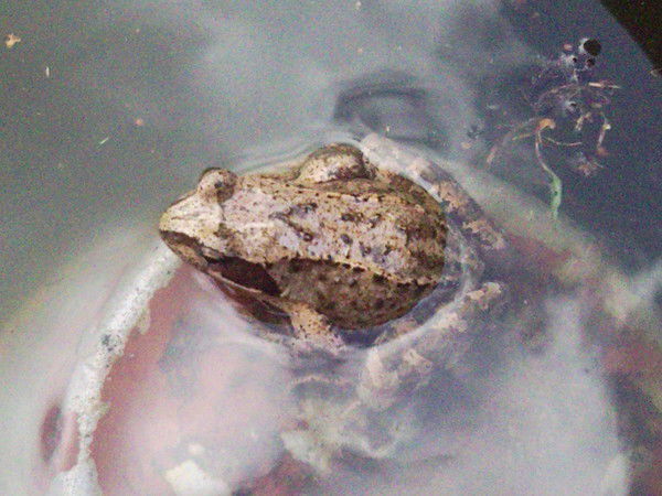 Юлия Юсупова