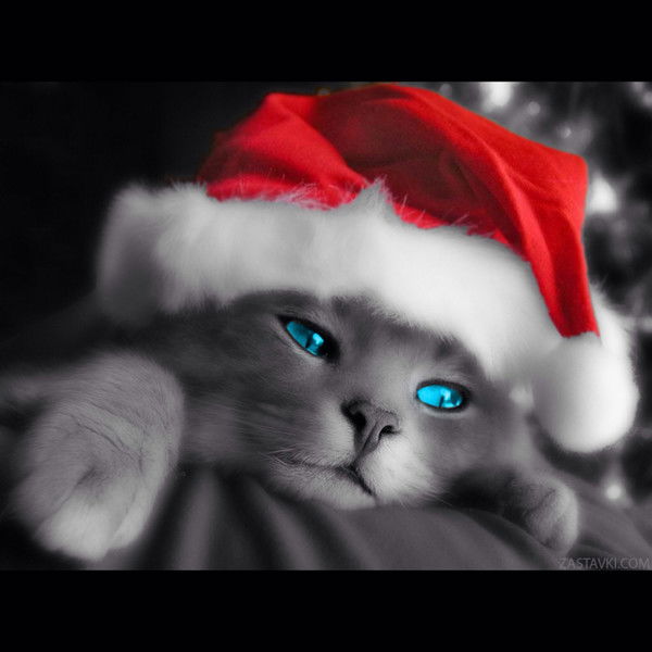 София Лунева