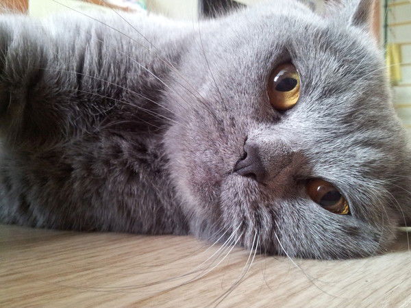 Анастасия Ткачёва