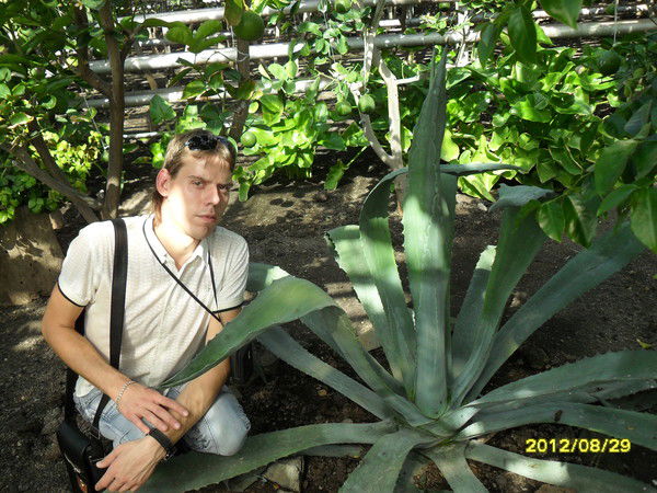 Александр Кощевец