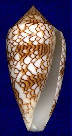 Алексей Евгеньевич Игнатович