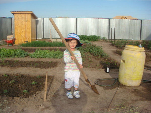 Александр Баранников