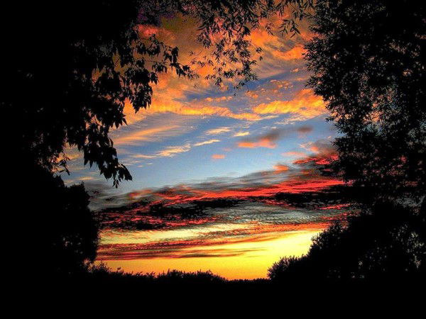 Никита Семёнов