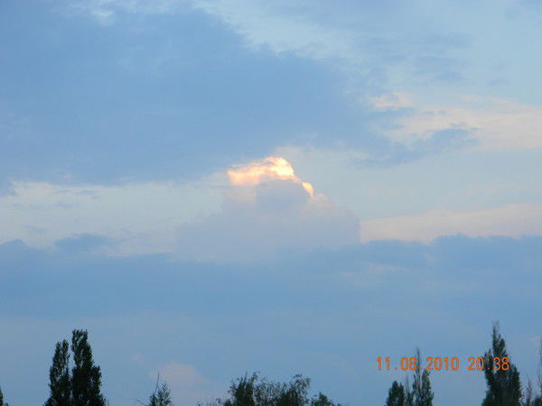 Анжелика Симонова