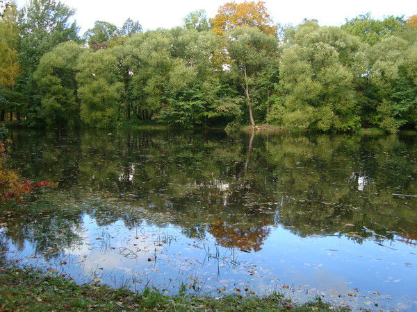 Анатолий Тутуев