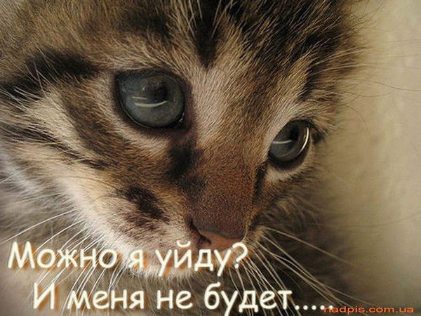 Екатерина Ивлева