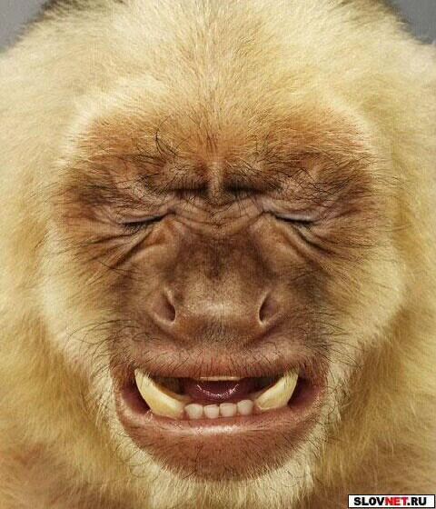 Роман Деманов