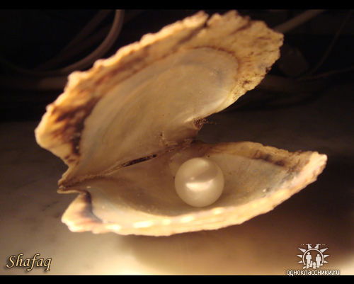 Маржан Акилова