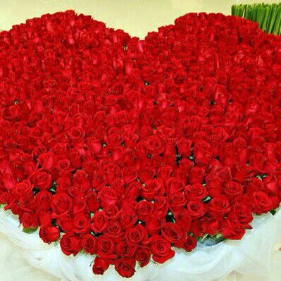 К Кулбаракова