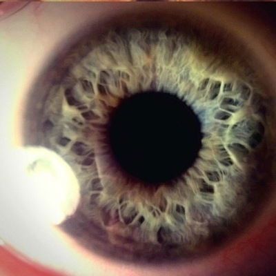 Рустем Хаматдинов