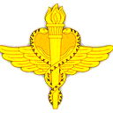 Светлана Митина