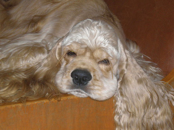 Наталья Омельченко