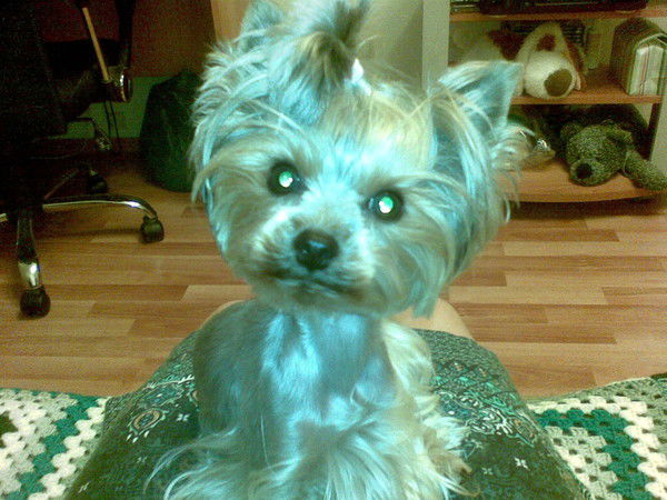 Ирина Ганичева