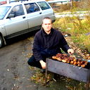 Александр Шеин