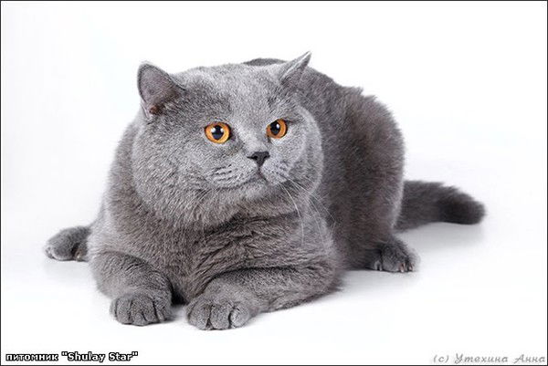 Наталья Иванова