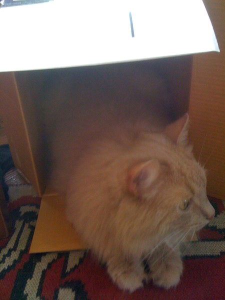 Валера Белочук