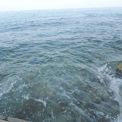 Макс Стасов