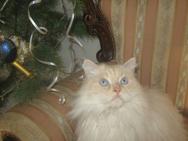 Татьяна Фролова