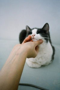 Екатерина Нимиткина