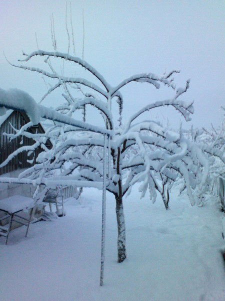 Денис Петров