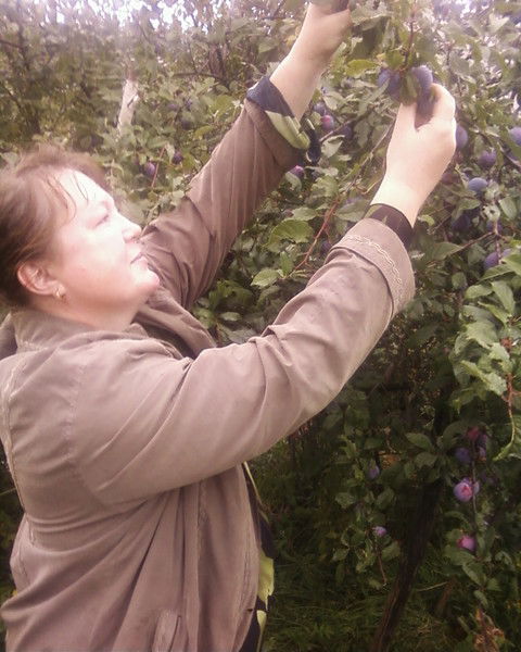 Лена Локоткова