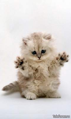 Анна Мурзик