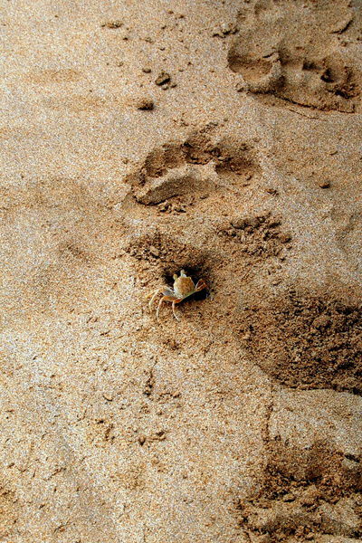 Евгений Бондарь