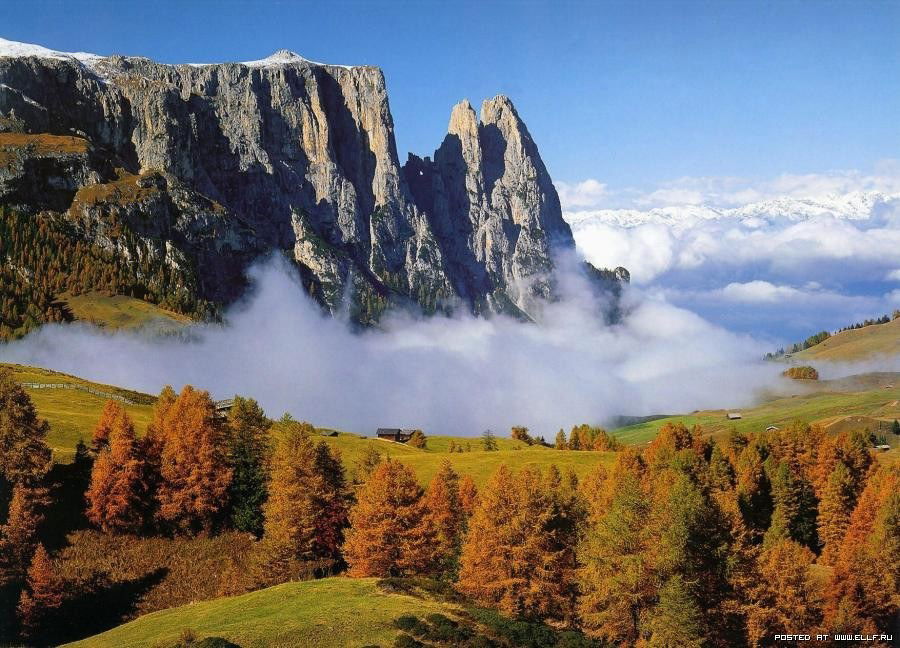 Эльвира Колычева