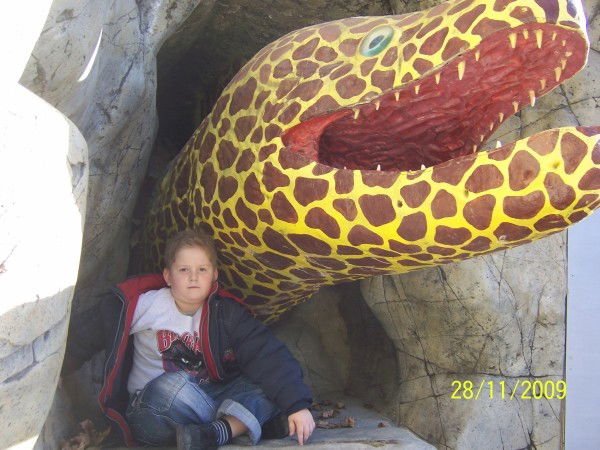 Андрей Шевцов