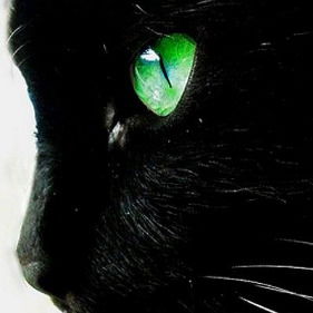 Кошка Зеленоглазая